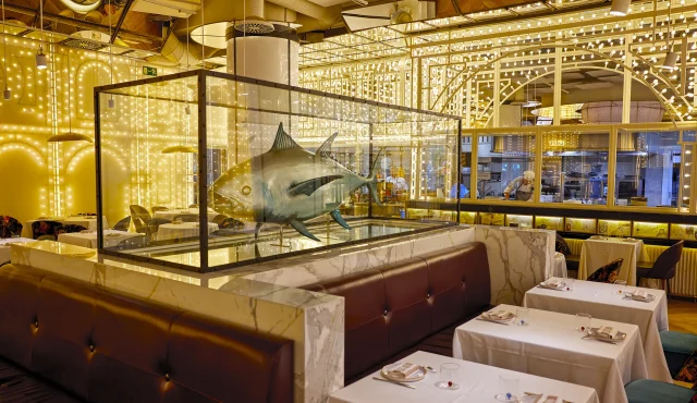 What is a Fusion Restaurant
