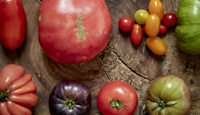 Tragabuches, tradition and andalusian flavor