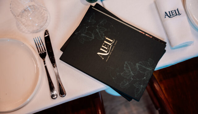 Alelí travels to Budapest