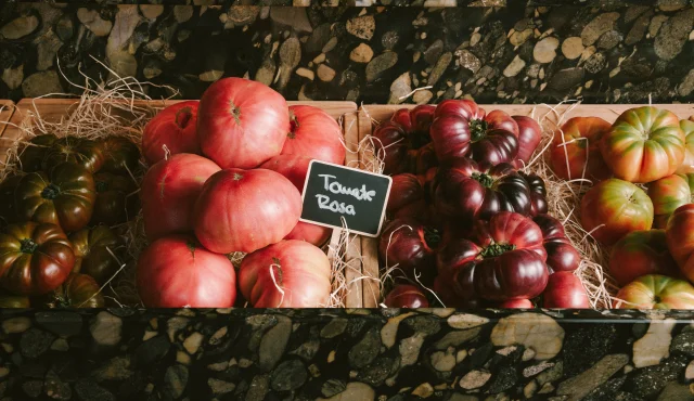 Andalusia is savored in every bite