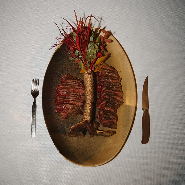 Fuego Experience